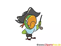 Papagei Pirat Clipart, Bild, Comic