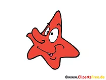 Seestern Cartoonbild, Clipart, Comic kostenlos