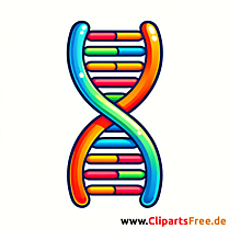 DNA Clipart PNG con sfondo bianco