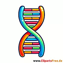DNA Clipart PNG با پس زمینه سفید