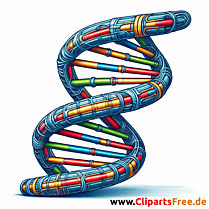 ДНК илустрација за печатење