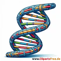 DNA Illustration zum Drucken