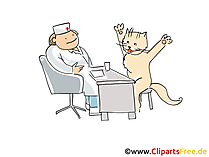 Katze beim Arzt Cartoon, Clipart, Bild, Illustration