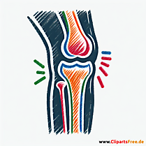 Knie Clipart