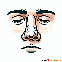 Nase Clipart Medizin