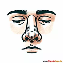 Nase Clipart Medizin