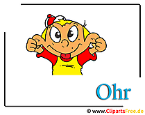 Ohren Clipart PNG kostenlos