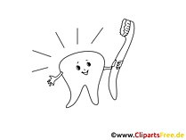 Tooth Clip Art black and white