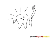 Tooth Clip Art black and white