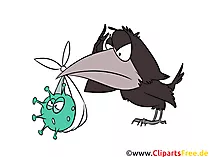 Virus Illustrationen und Clip Art - Rabe, Vogel