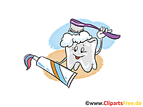 Zahn mit Zahnbürste Clipart, Bild, Grafik