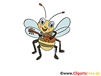 Biene spielt Gitarre Comic, Cartoon, Clipart, Bild, Zeichnung, Illustration gratis