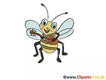 Biene spielt Gitarre Comic, Cartoon, Clipart, Bild, Zeichnung, Illustration gratis