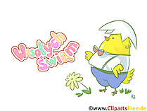 Clipart Küken mit Eierschale - Ostergrüße auf Polnisch