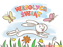 Schmetterlinge und Osterhase auf Weide auf Polnisch Clipart, Bild, Illustration