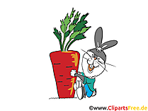 Möhre und Kaninchen Stillgestanden Clipart, Bild, Illustration