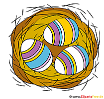 Nest with eggs clipart