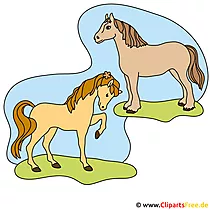 Cartoon Zeichnungen Pferde - Clipart free