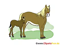 Clipart Pferde