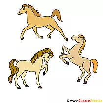 Drei Pferde Clipart