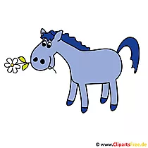 Free Clipart Pferd gratis