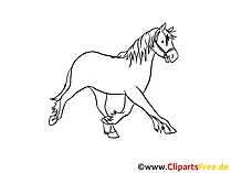 Horse clip art black and white