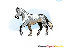 Horses Illustrations and Clip Art