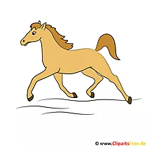 Laufendes Pferd GIF JPG