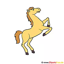Pferd auf Hinterbeinen Clipart-Bild