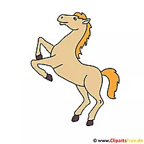 Pferd auf zwei Beinen Bild-Cliparts