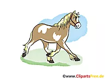 Pferd Clipart kostenlos