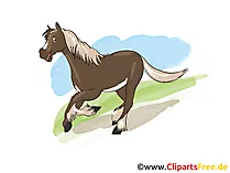 Pferd Zeichnung schwarz-weiss