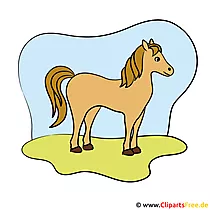 Pferd zum Reitern Bild - Clipart
