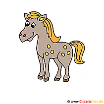 Pferdbild gratis