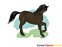 Pferde Bild, Clipart, Cartoon, Zeichnung