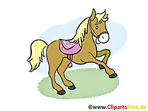 Pferde Bilder, Cliparts, Cartoons