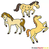 Pferde Clipart
