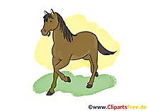 Pferdebilder Cartoons, Cliparts, Grafiken. Zeichnungen