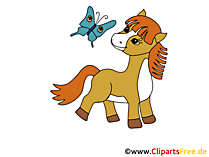 Pony Clipart, Bild, Cartoon gratis