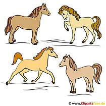Sportpferde Bild - Clipart gratis