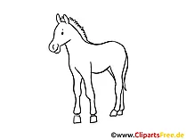 Zeichnung Pferd