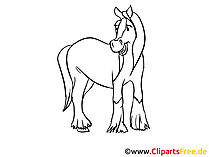 Zeichnungen von Pferden