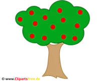 Apfelbaum Clipart - Bild