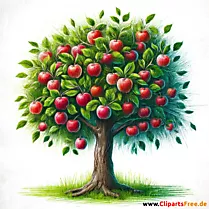 Apfelbaum Clipart
