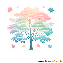 Ahorn Clipart - Bilder zum Thema Bäume