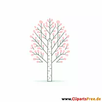 Birke Clipart - Bilder zum Thema Bäume