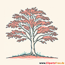 Buche Clipart - Bilder zum Thema Bäume