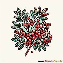 Eberesche Clipart - Bilder zum Thema Bäume