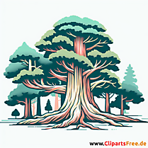 Mammutbaum Clipart - Bilder zum Thema Bäume