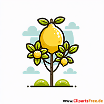 Zitronenbaum Clipart - Bilder zum Thema Bäume